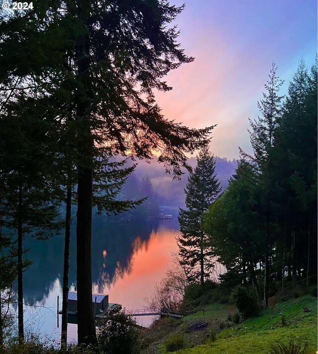 nature at dusk featuring a water view