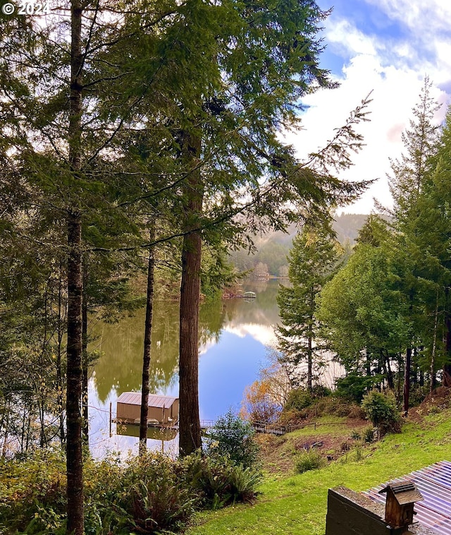 view of water feature featuring a dock