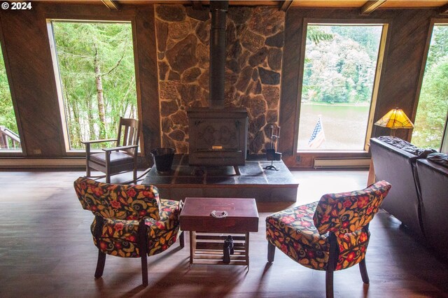 living room featuring a wood stove, plenty of natural light, and hardwood / wood-style flooring