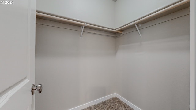 walk in closet with carpet flooring