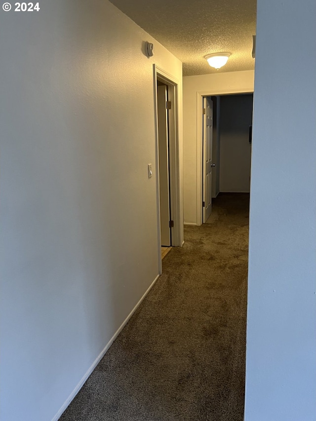 corridor with carpet floors and a textured ceiling