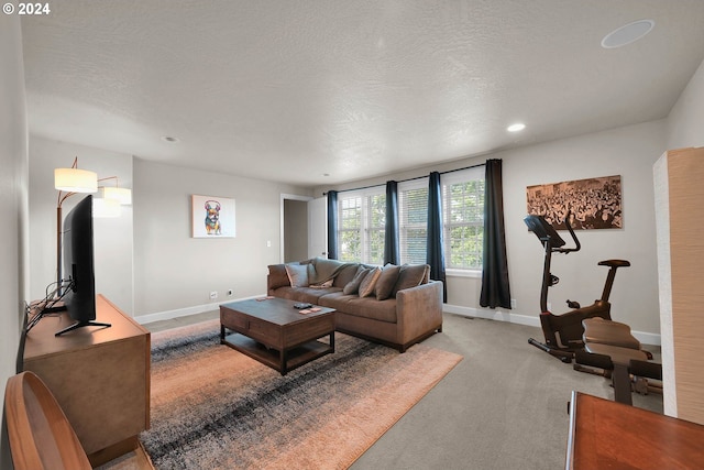 carpeted living room featuring a textured ceiling