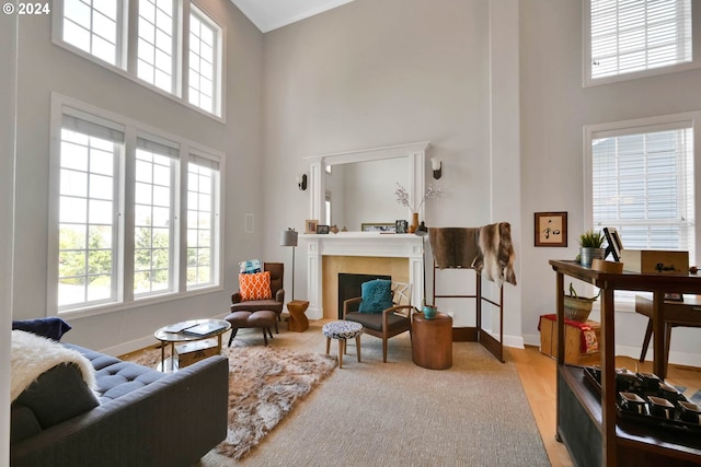 living room featuring a high ceiling and light hardwood / wood-style floors