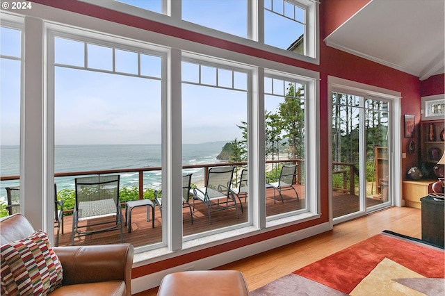 entryway featuring crown molding, a water view, and wood finished floors