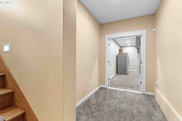 hallway featuring carpet floors