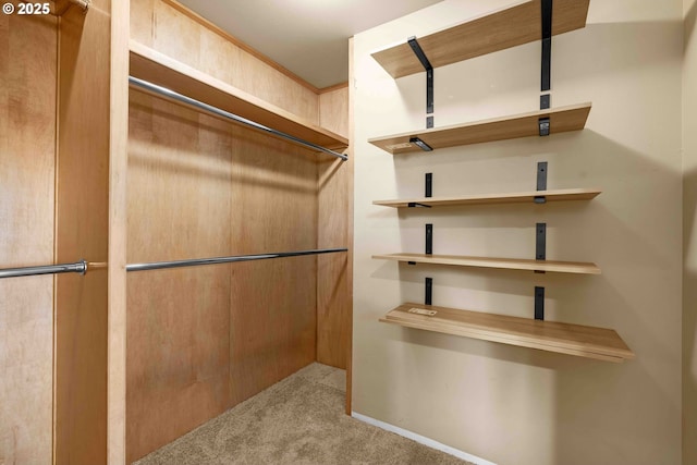 spacious closet with light colored carpet