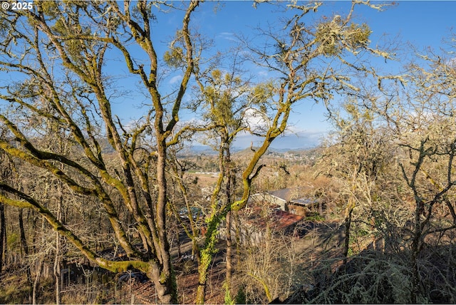 125 Sylvan Vista Ct, Roseburg, OR 97471 - water view