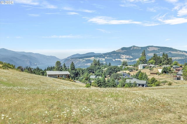 Listing photo 2 for NW Strawberry Mountain Rd, White Salmon WA 98672