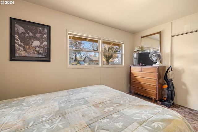 bedroom featuring a closet