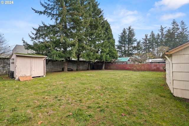 view of yard with a storage unit