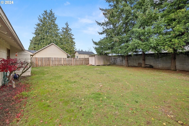 view of yard featuring a storage shed