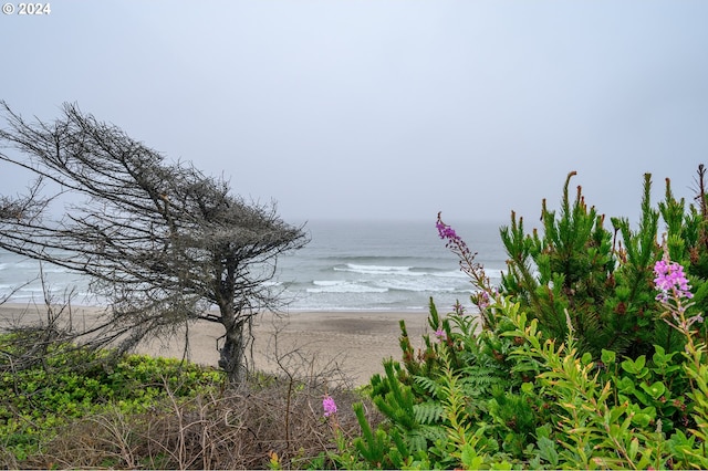 view of water feature featuring a view of the beach