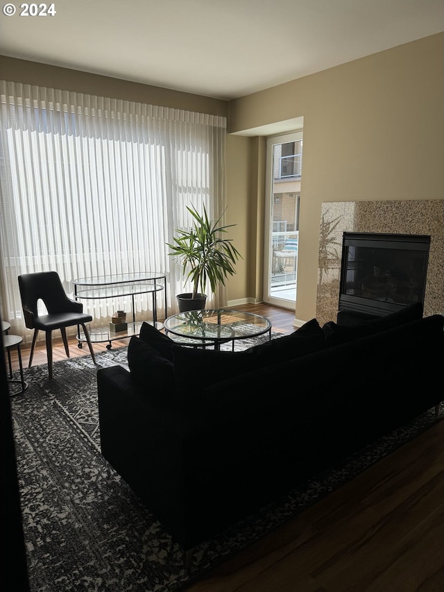 living room featuring hardwood / wood-style flooring and a fireplace