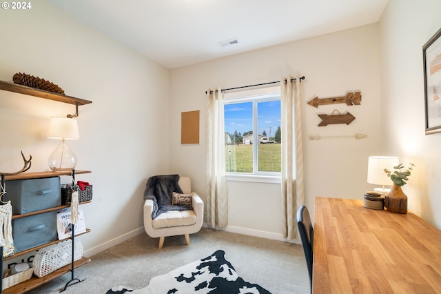 interior space featuring carpet floors