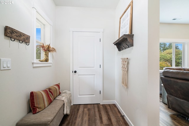 interior space with dark hardwood / wood-style floors