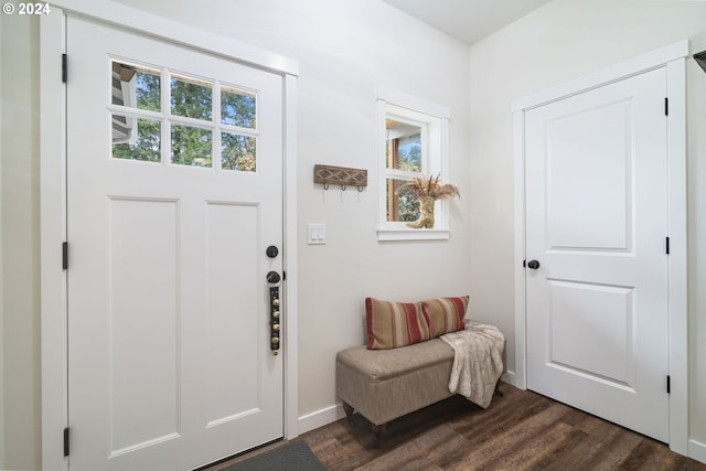 entrance foyer featuring dark hardwood / wood-style flooring