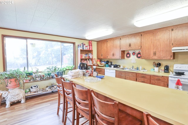 kitchen featuring light countertops, white appliances, light wood-style flooring, and under cabinet range hood