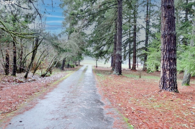 view of road