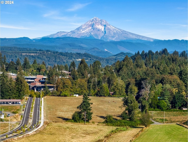 view of mountain feature