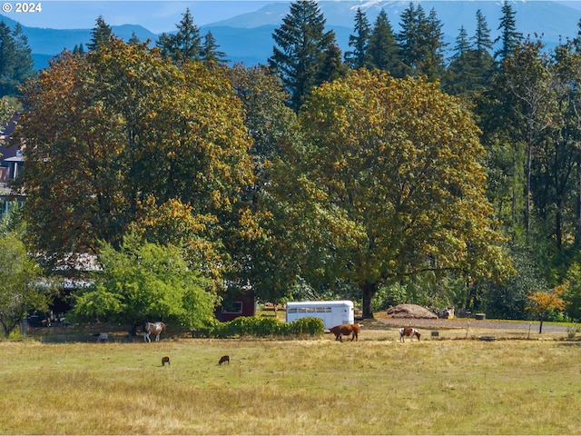 view of yard with a rural view and a mountain view