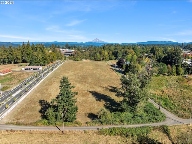 drone / aerial view featuring a mountain view