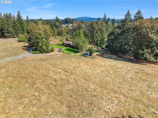 exterior space featuring a mountain view and a lawn