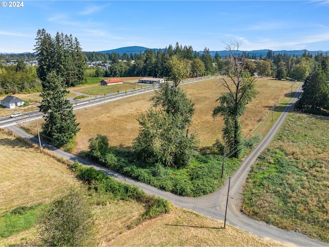 birds eye view of property with a mountain view and a rural view