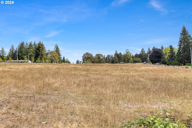 view of local wilderness featuring a rural view