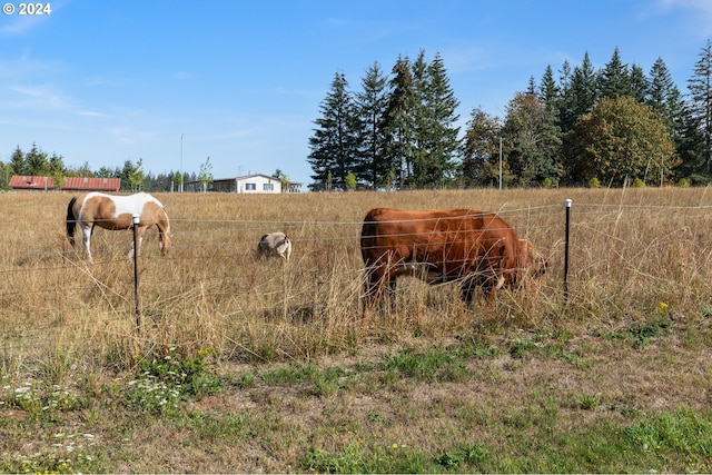 view of yard with a rural view