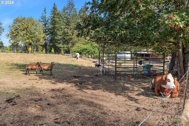 view of yard featuring a rural view and an outdoor structure