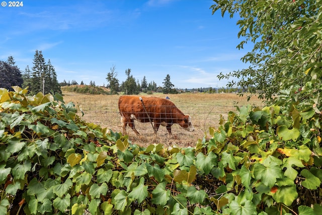 view of landscape with a rural view