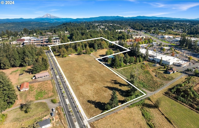 drone / aerial view featuring a mountain view