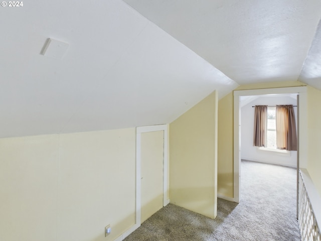 additional living space featuring light colored carpet and vaulted ceiling