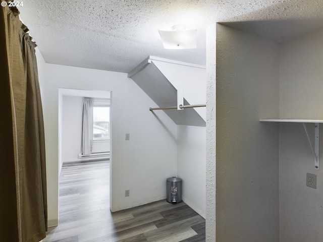 walk in closet featuring wood-type flooring and vaulted ceiling