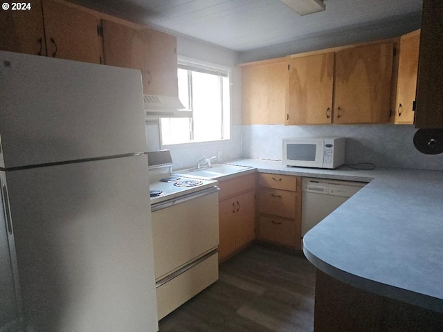 kitchen featuring white appliances, sink, and dark wood-type flooring