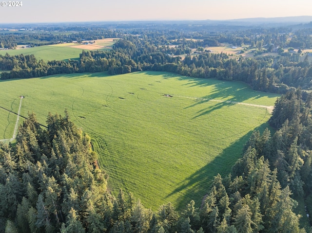 bird's eye view featuring a rural view