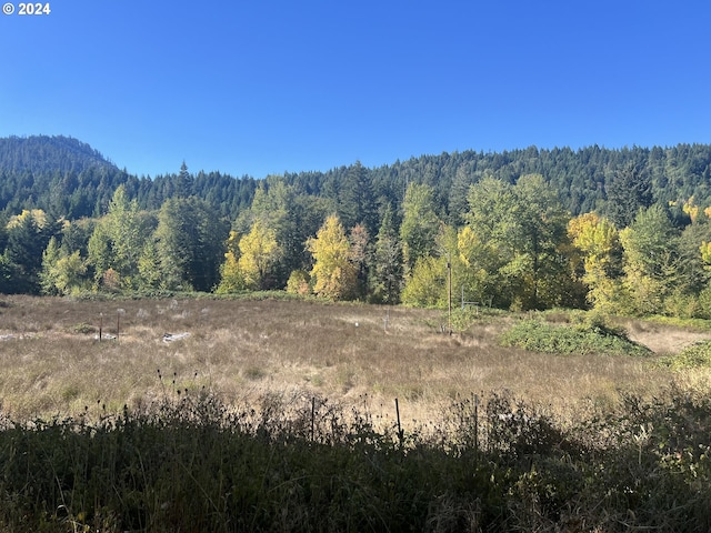 1105 Tunnel Rd, Glendale, OR 97442 - view of mountain backdrop featuring a heavily wooded area