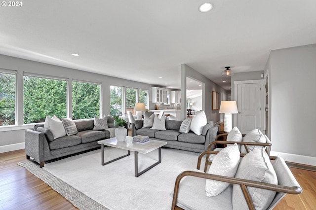 living room with light wood-type flooring