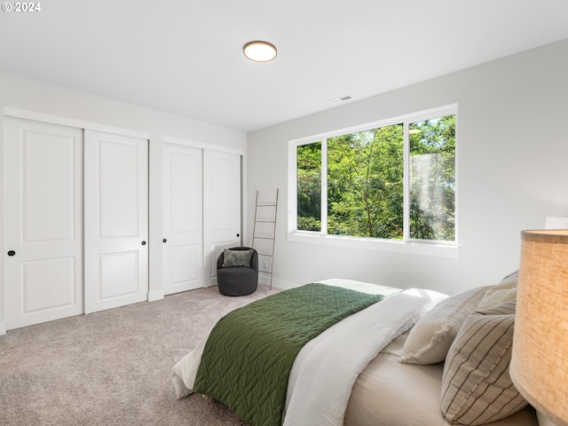 carpeted bedroom featuring two closets