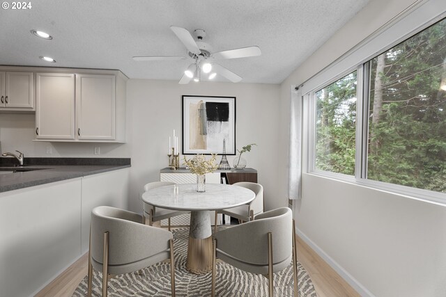 dining space with light hardwood / wood-style floors, a textured ceiling, sink, and ceiling fan