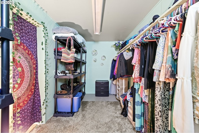 walk in closet featuring carpet