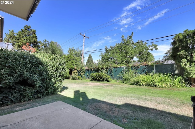 view of yard featuring a patio