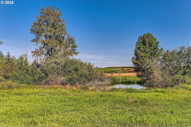 view of yard featuring a water view