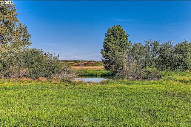 view of yard featuring a water view