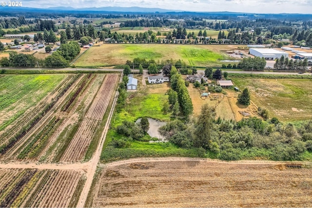 bird's eye view featuring a rural view and a mountain view