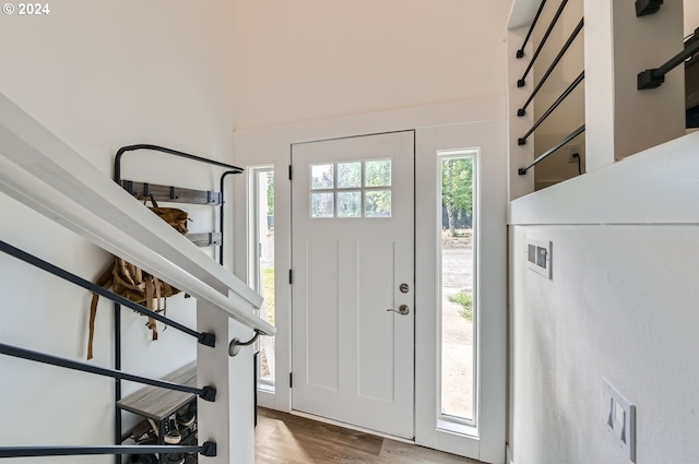 entrance foyer featuring wood finished floors