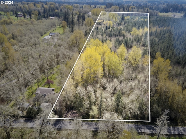 9701 NE 299th, Battle Ground WA, 98604 land for sale