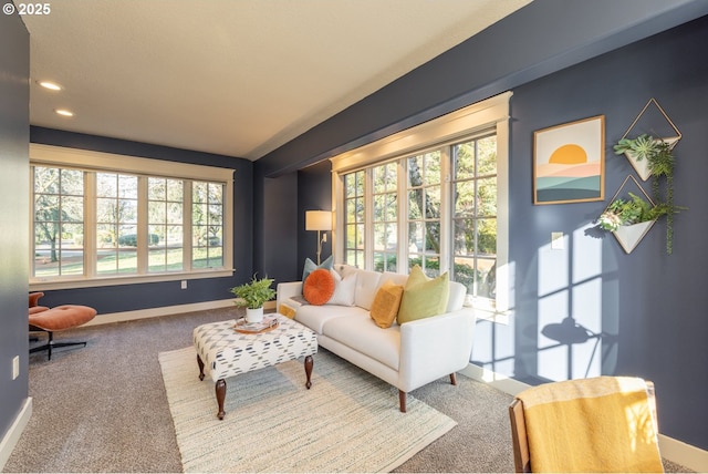 living room with carpet flooring