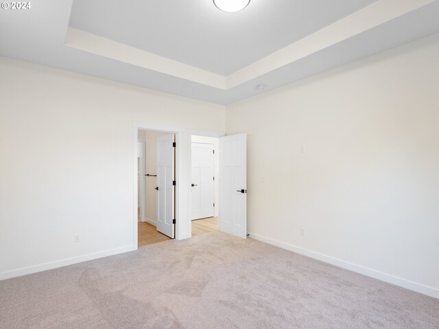 spare room with a raised ceiling and light colored carpet