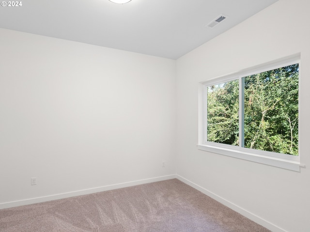 empty room featuring carpet floors